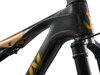 Liv Pique Advanced SL 0 raw carbon L