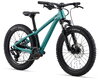 GIANT STP 20 FS teal one size