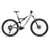 Orbea RISE M10 S Custom