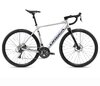 Orbea GAIN D50 20mph M Metallic Silver (Matt) - Black (Gloss)