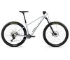 Orbea LAUFEY H10 L Smooth Silver (Matt) - Titanium (Gloss)