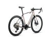 Orbea DENNA M20i M Nickel Matt - Carbon Raw Gloss