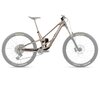 Orbea RALLON 450 ENDURO L Nickel (Matt) - Nickel Chrome (Gloss)